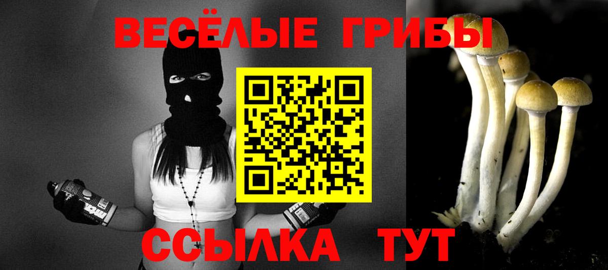 Галлюциногенные грибы Psilocybine cubensis  Вход с VPN  Псилоцибиновые грибы Cubensis  Новочеркасск 